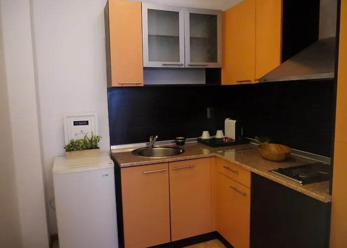 Jolly نيسيبار