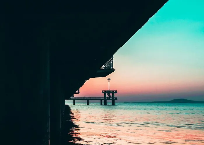 Jolly نيسيبار